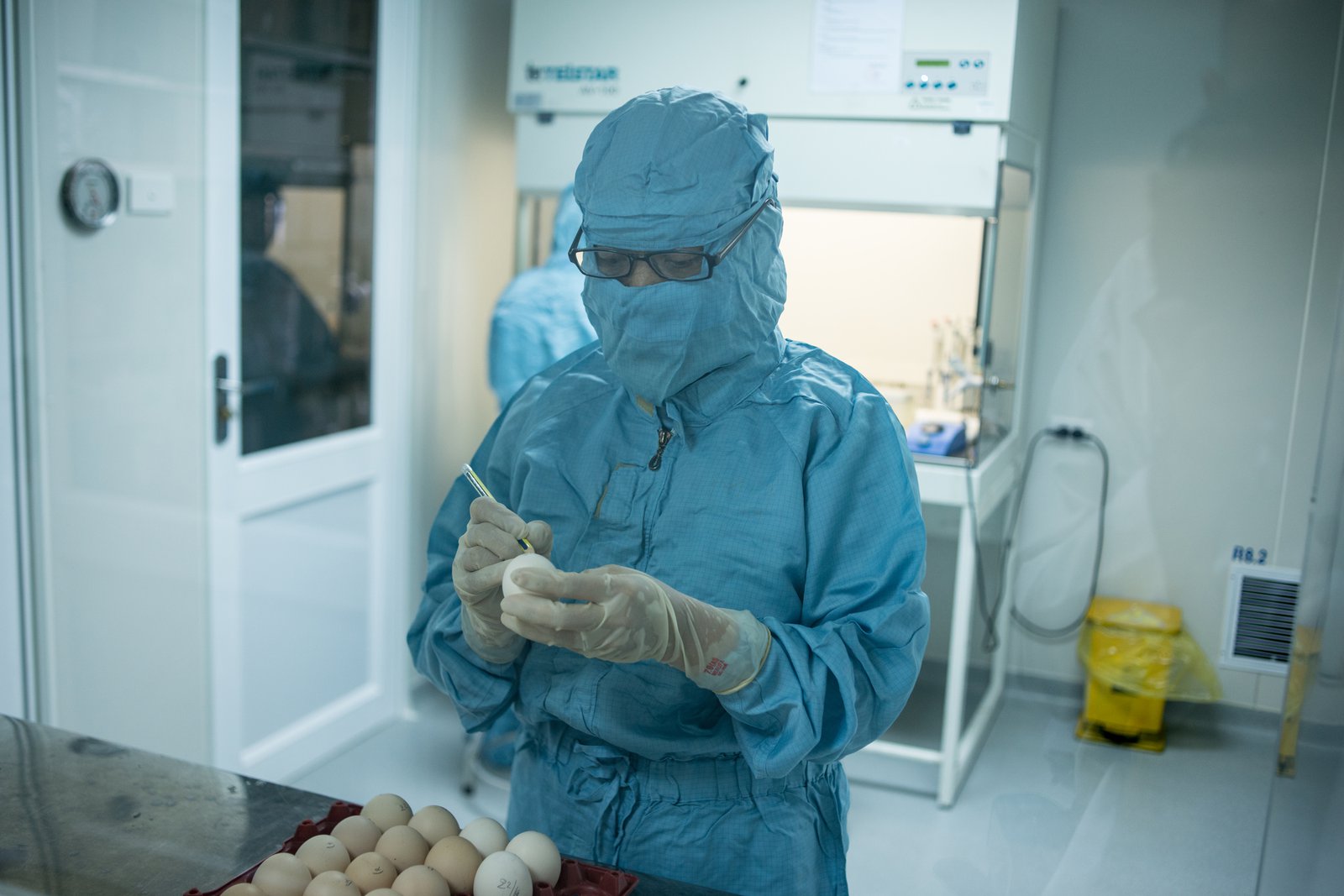 A lab technician at the Institute of Vaccines and Medical Biologicals inspects eggs.