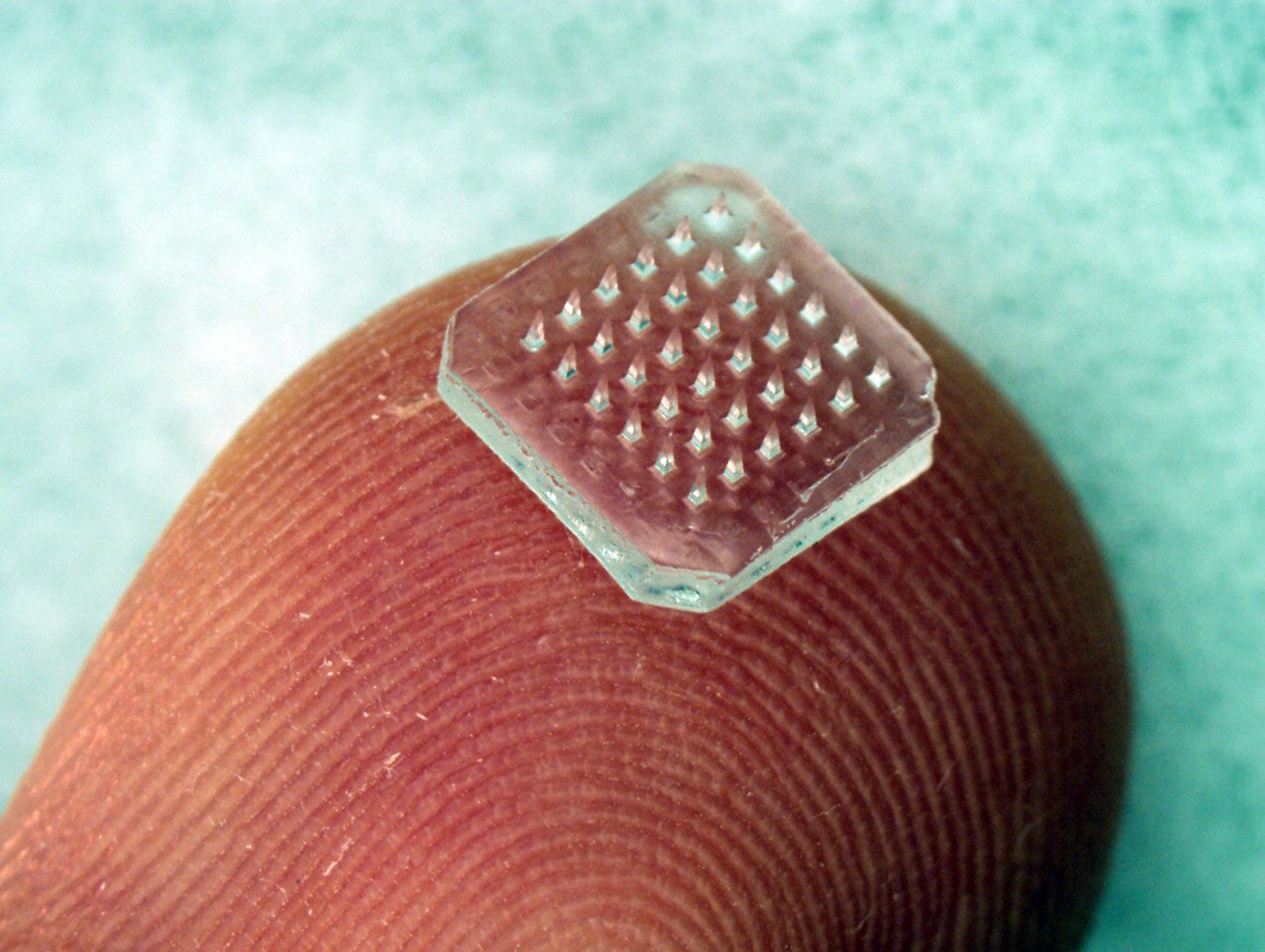 A microneedle patch sits atop a finger tip.