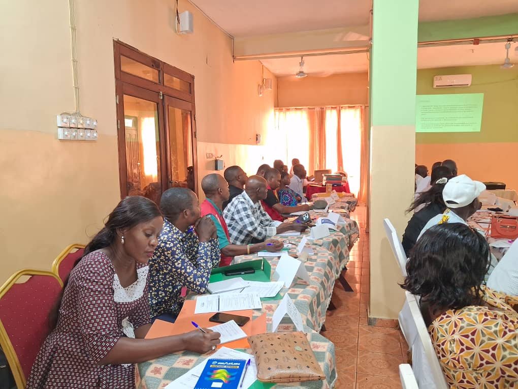 As part of PATH’s non-traditional partners approach, representatives from local organizations brainstormed strategies to increase malaria vaccine uptake during a co-creation workshop in Kwilu Province, DRC. Credit: Moise Mampalala/PATH.