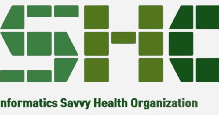 ISHO Assessment: Strengthening health systems and public health ...