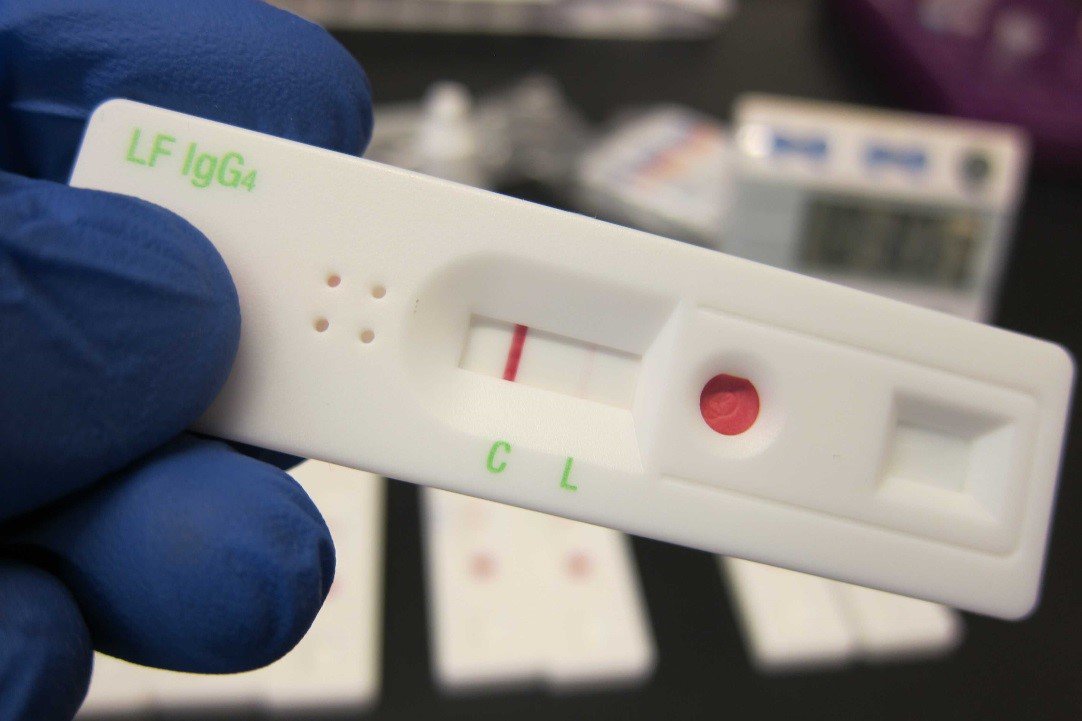 LF monoplex test the SD BIOLINE Lymphatic Filariasis IgG4 rapid test.