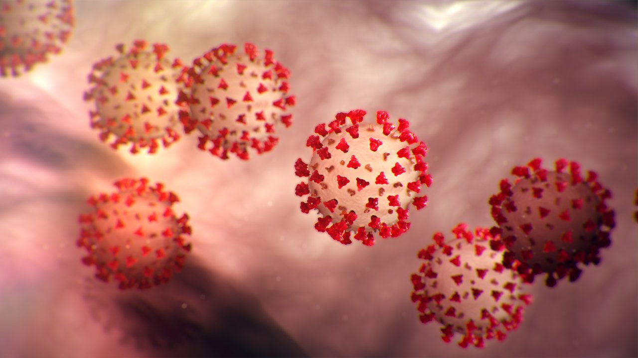 CDC image of coronavirus - credit CDC