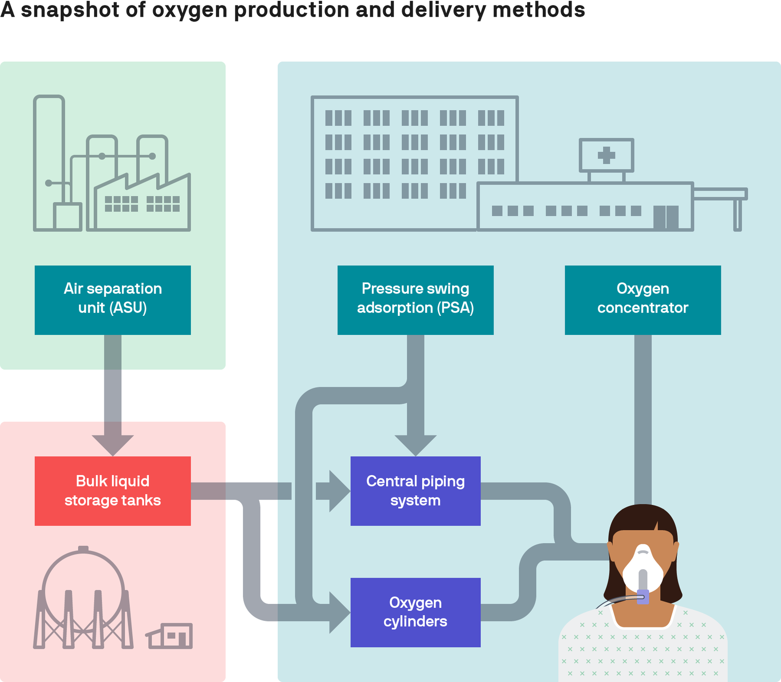 A snapshot of oxygen production and delivery pathways.