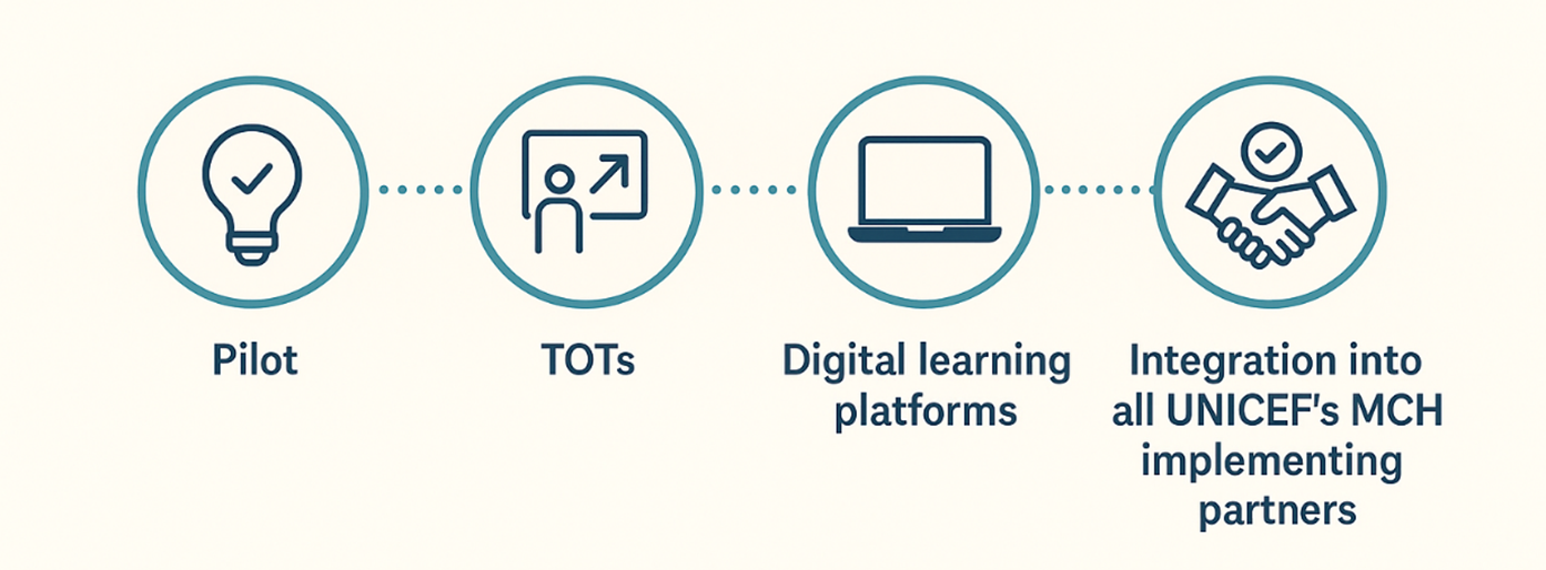 Steps of PMH implementation.